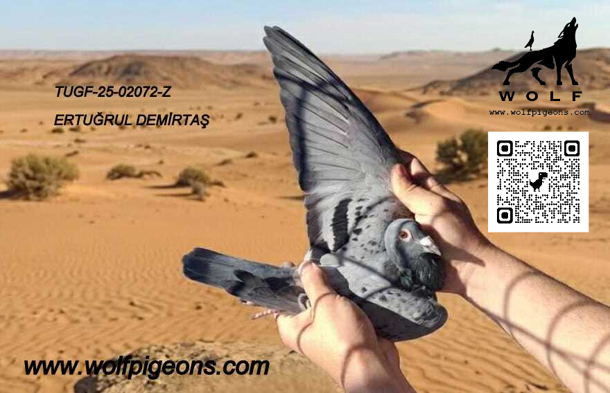 TUGF-26-02072-16-A